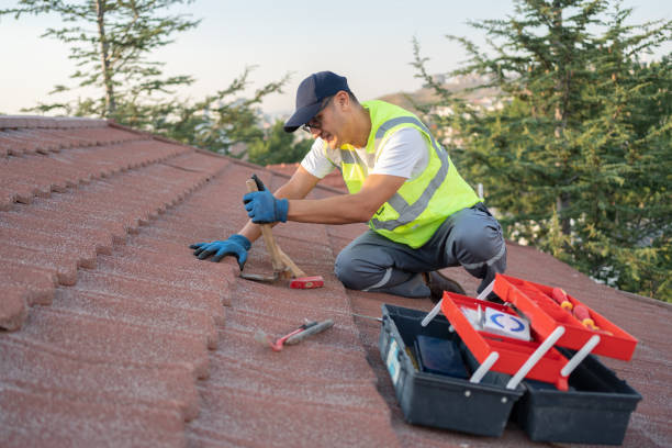 Best Shingle Roofing Installation  in Houghton Lake, MI