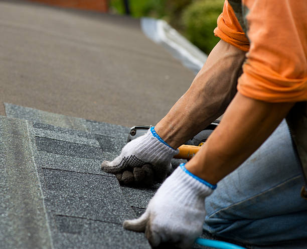 Best Roof Restoration Services  in Houghton Lake, MI